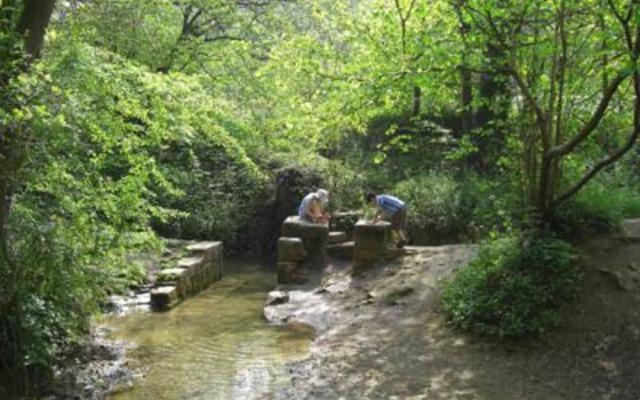 Cotswolds Valleys Accommodation Springfl
