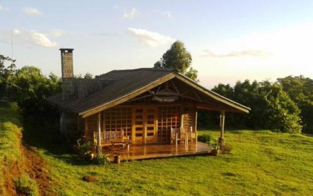 Castle Forest Lodge