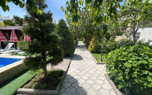 Maze Guest House