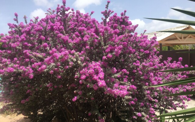 Tropical Breeze Apartments