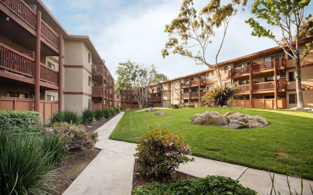 Sunshine Suites at Midway