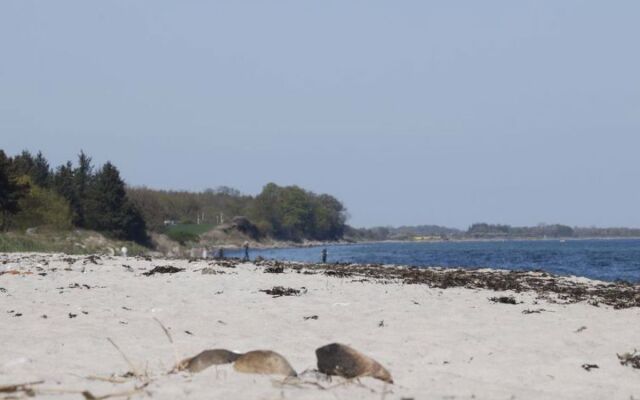 "Bridgette" - 100m from the sea in Funen