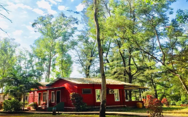 The Jungle Resort Amba