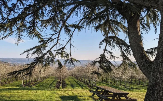 Old Presbytery Guest House