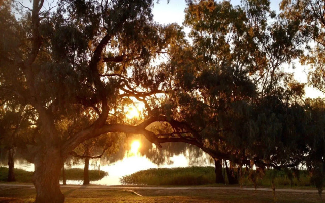 Balonne River Motor Inn