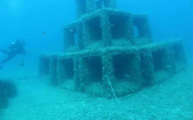 1 Bedroom Apartment With a Magnificent sea View