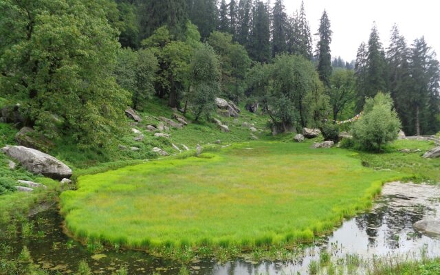 The Himalayan Alpine