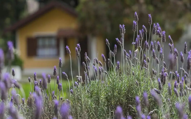 Garden Hotel