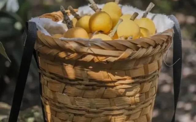 Suzhou Xishihu Villa