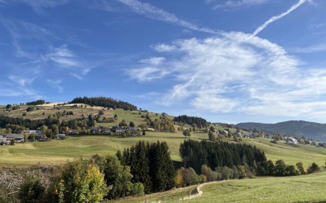 Schwarzwaldblick 27070