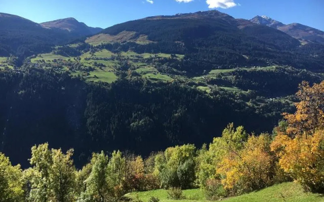 Casa Vesta Magnifica Wildi