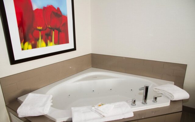 Holiday Inn & Suites Red Deer South