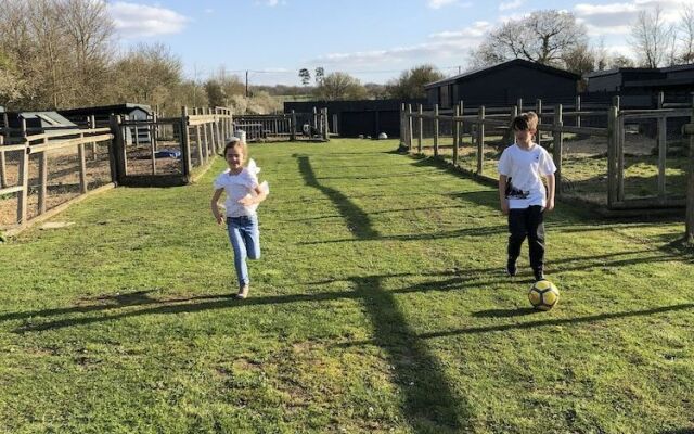 Willow Court Farm