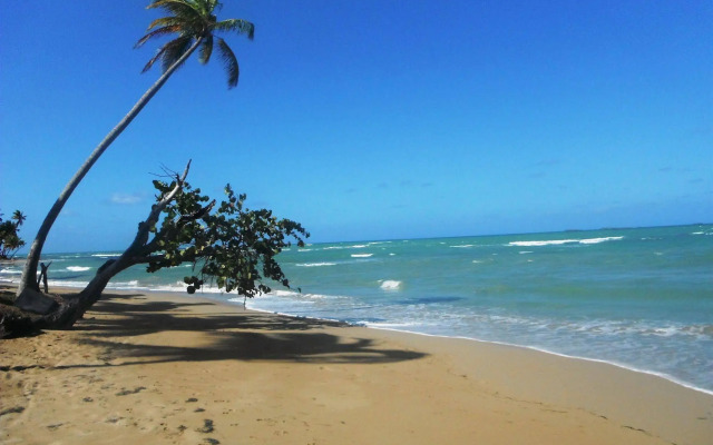 Hotel Punta Bonita