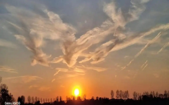 Villa Oesterdam 4 Persons