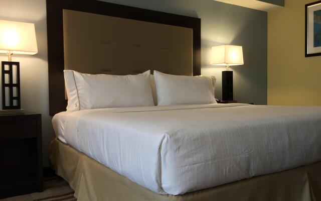 Holiday Inn Express Chicago NW - Arlington Heights, an IHG Hotel