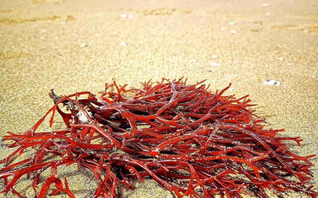 Casa Noban, direct access to the beach-Casa Vacanza Noban