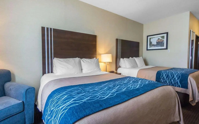 Comfort Inn & Suites