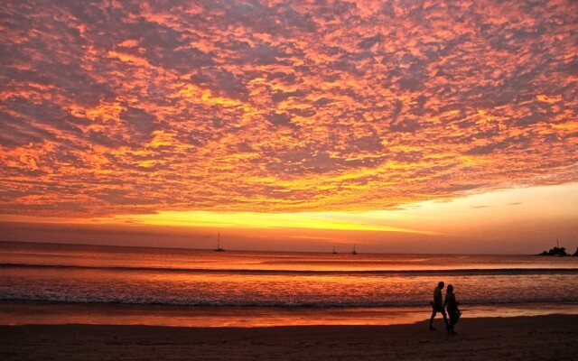 Flower Power Village