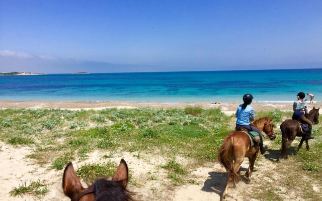 Horse Country Resort Congress & Spa