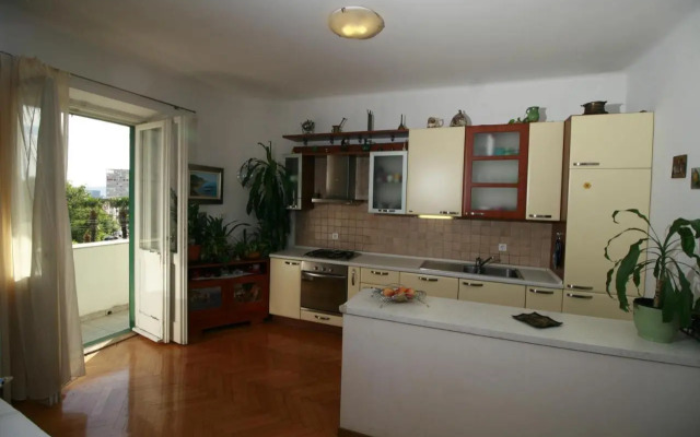 Spacious apartment in the center