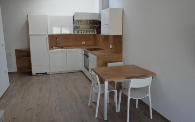 Apartments Ostanek 2