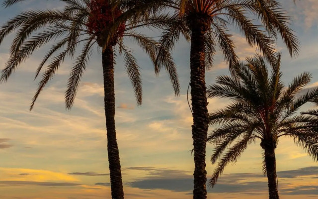 Apartment in Santa Pola