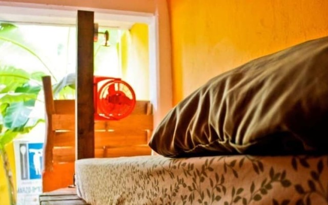 Hostal San Pancho - Hostel