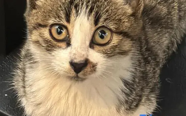 Floral Hotel·Yidao Chengxuan Hotel (Shanghai Zhujiujiao Branch, Qingpu))