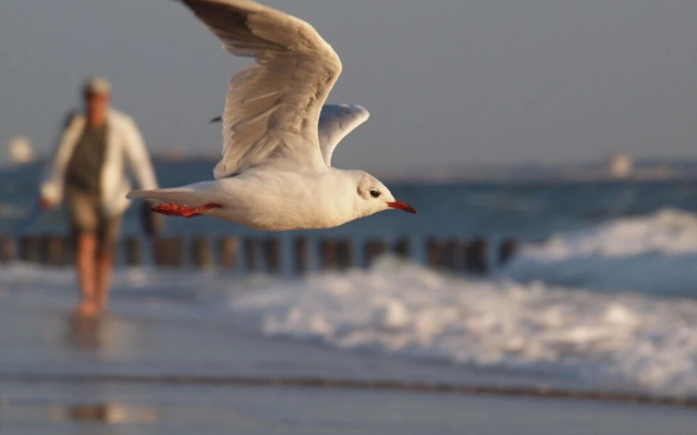 Beautiful Seaside Apartment in Koudekerke