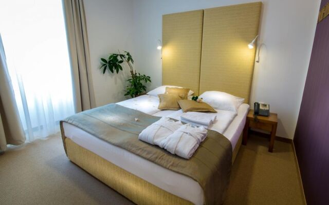 Rimske terme - Hotel Zdraviliški Dvor