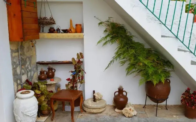 Jungle House