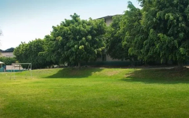 Vista Junior Guadalajara