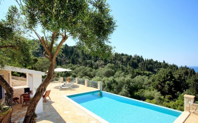 Monodendri Blue in Paxi