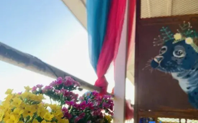 Vinawhisper·Purify（B&B）