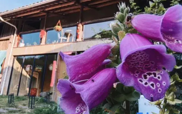 Huamanli · Zen Healing Homestay (Yunhe Terrace Scenic Area)