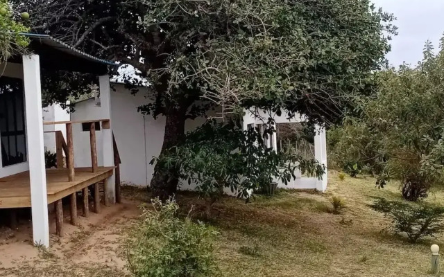 Restaurante Calor Tropical