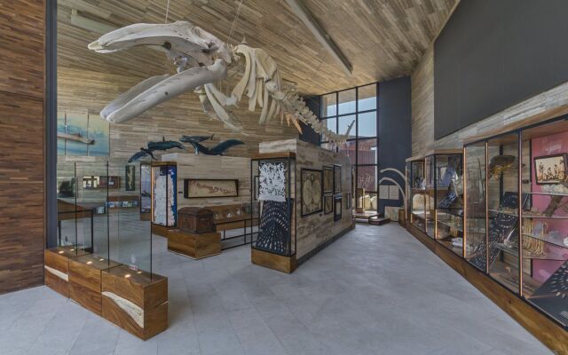 Solaz A Luxury Collection