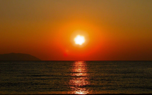 Alpha Stegna Sun