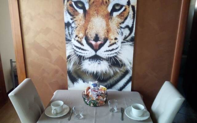 Residence San Miguel 8