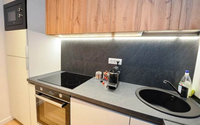 Twin II Apartment - One Bedroom - Cismigiu Gardens