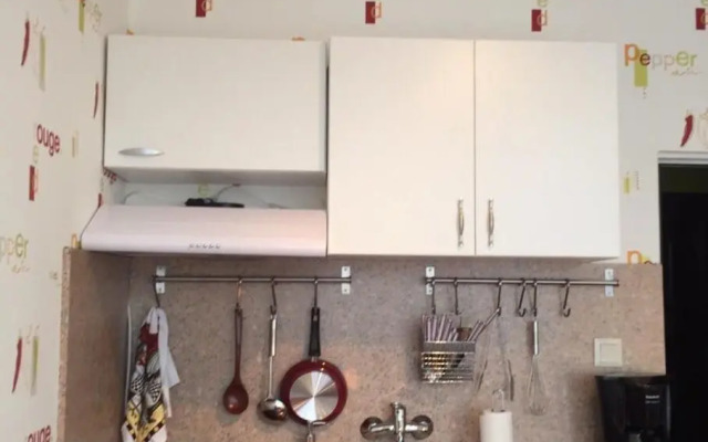 Airport Apartment