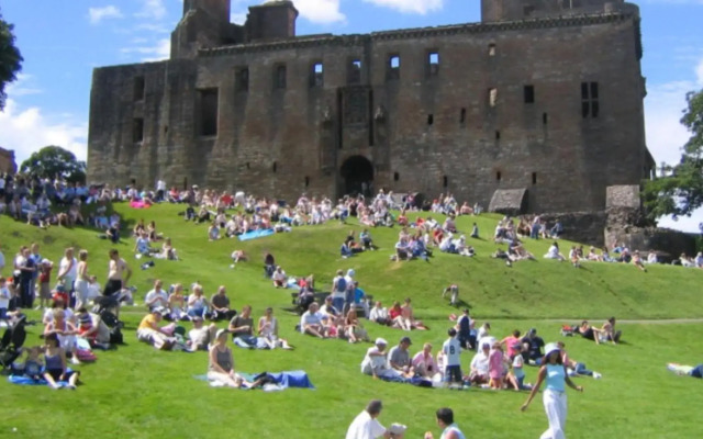 The Little Beech Tree