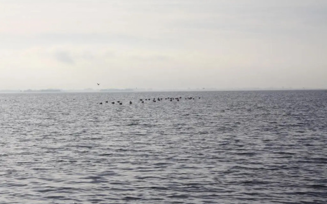 Bed & Breakfast Herkingen GR5