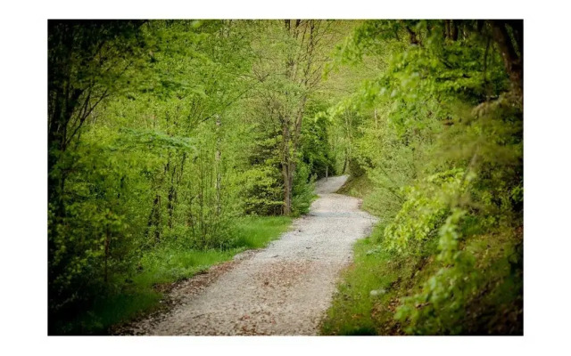 Les cabanes de Rensiwez