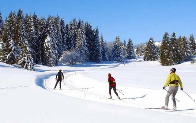 Le 211,ski et randonnée, lave linge ,parking