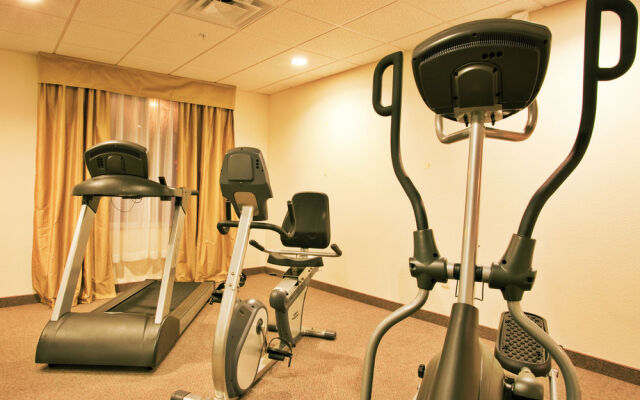 Holiday Inn Express Hotel & Suites Brooksville-I-75