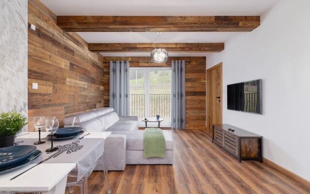 Memorable Apartment in Wisla by Renters