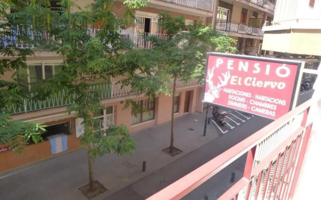 Pension El Ciervo