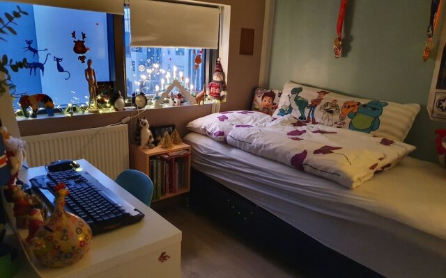 Stunning 2-bedroom Downtown Reykjavík Free Parking